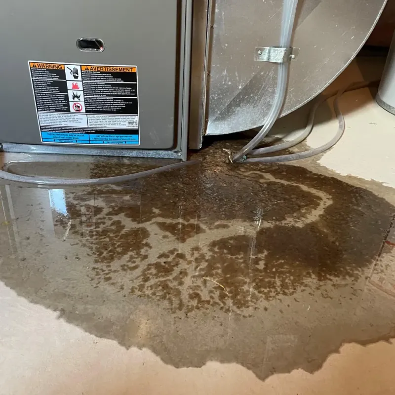 Appliance Leak Cleanup in Pamlico County, NC